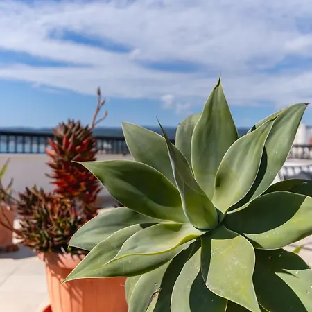 Apartment Casa Sul Mare By Rentbeat *
